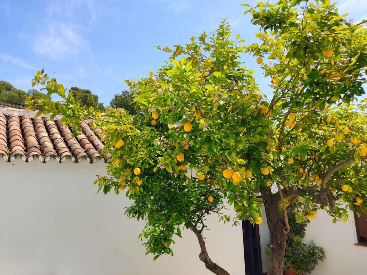 Casa El Patio Del Limon, Con Piscina Villa Montecorto Exterior photo